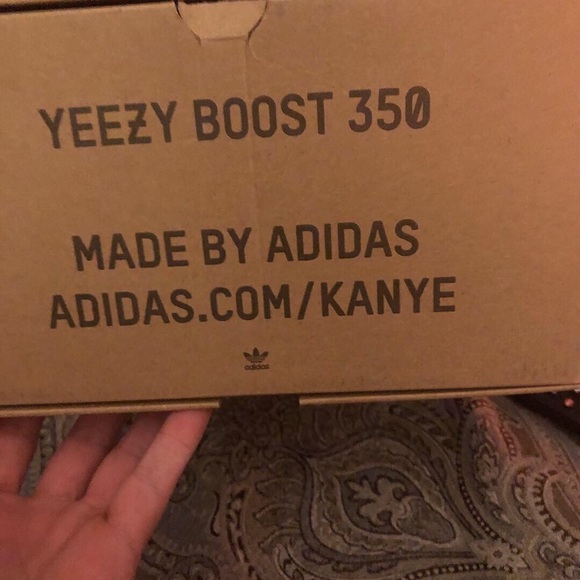 Meet your Posher, Rich - Picture 4 of 8